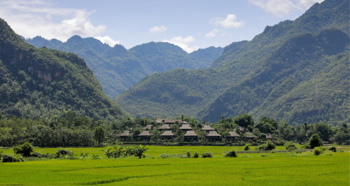 Máy ion Kiềm D009